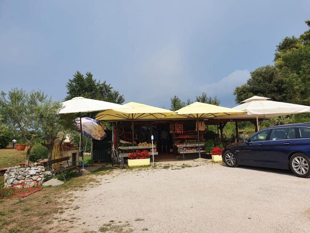 Mobile Home Leggiero 156 - Porton Nature Hideouts Rovinj Kültér fotó